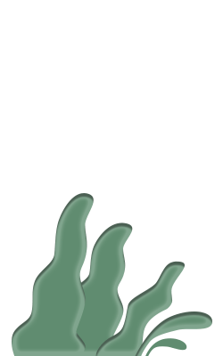 bush b