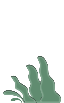 bush c