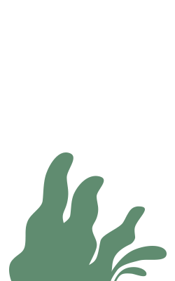 bush
