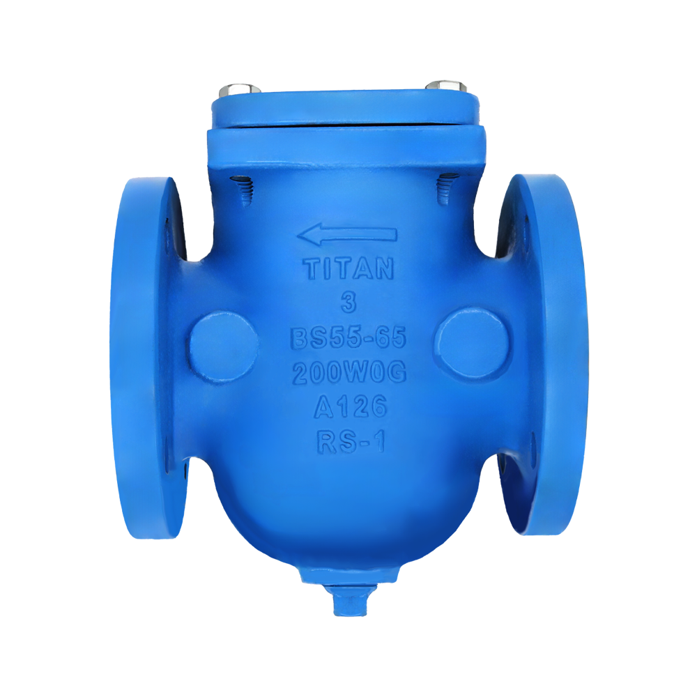BS65-CI 1000x1000 Color_R1 BS65-CI