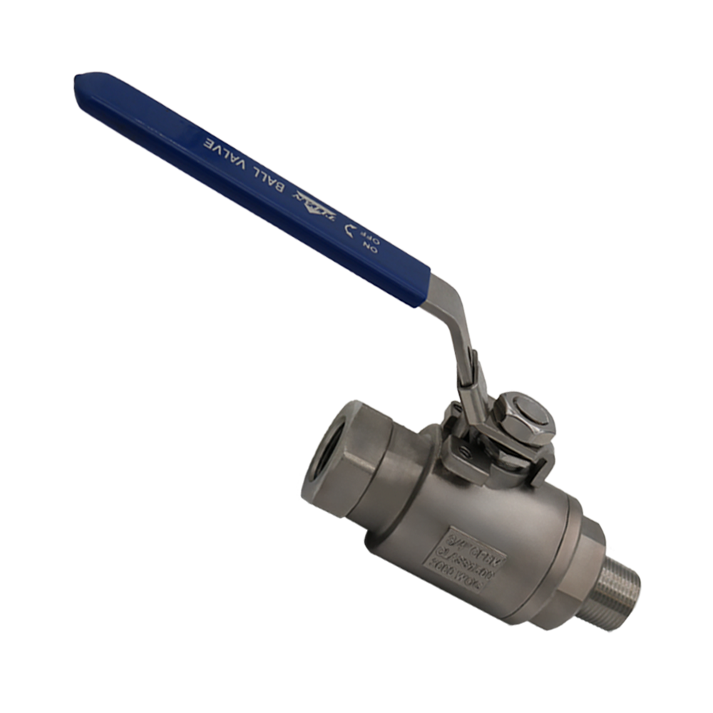 BV25 1000x1000 Color_R03 BV25 SS